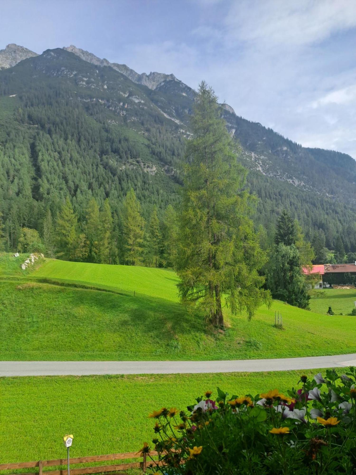 Landgasthaus Appartement Birkegg ロイタシュ エクステリア 写真